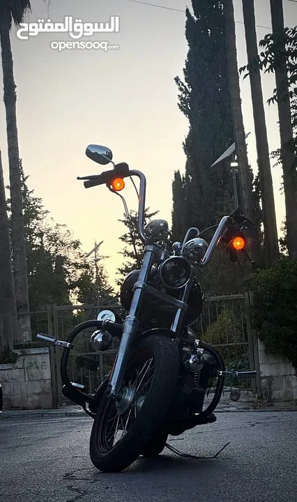 Harley Davidson Street bob 2011 1600CC للبيع المستعجل بداعي السفر