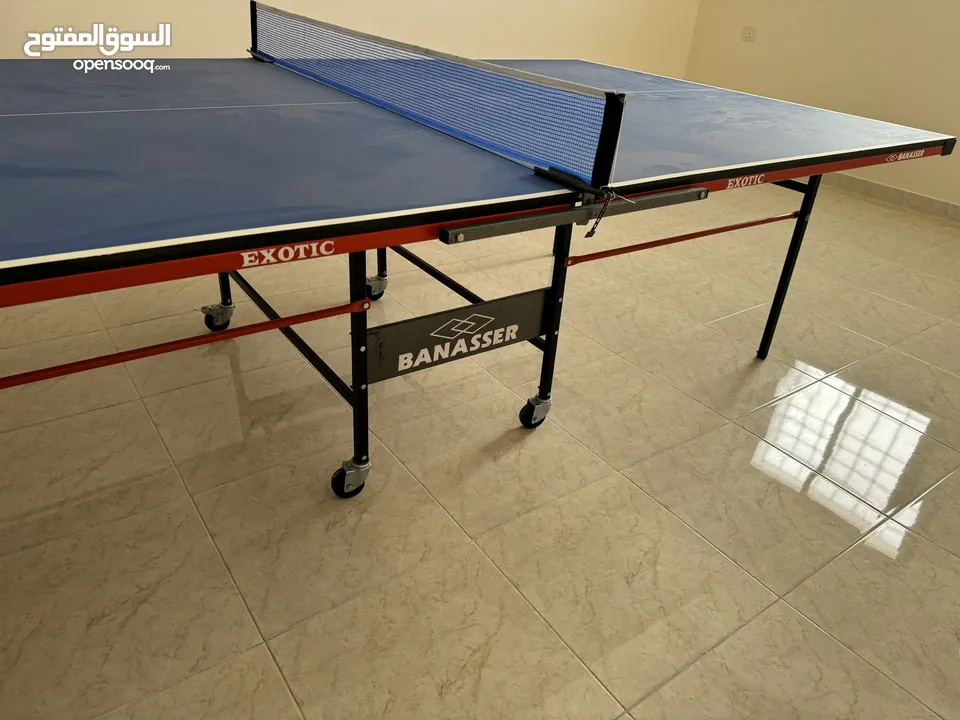 Ping pong Table