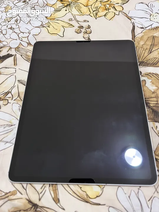 iPad Pro 6 256GB cellular