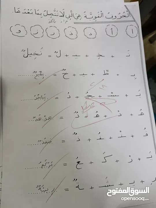 معلم تربية خاصة(صعوبات تعلم وتأسيس