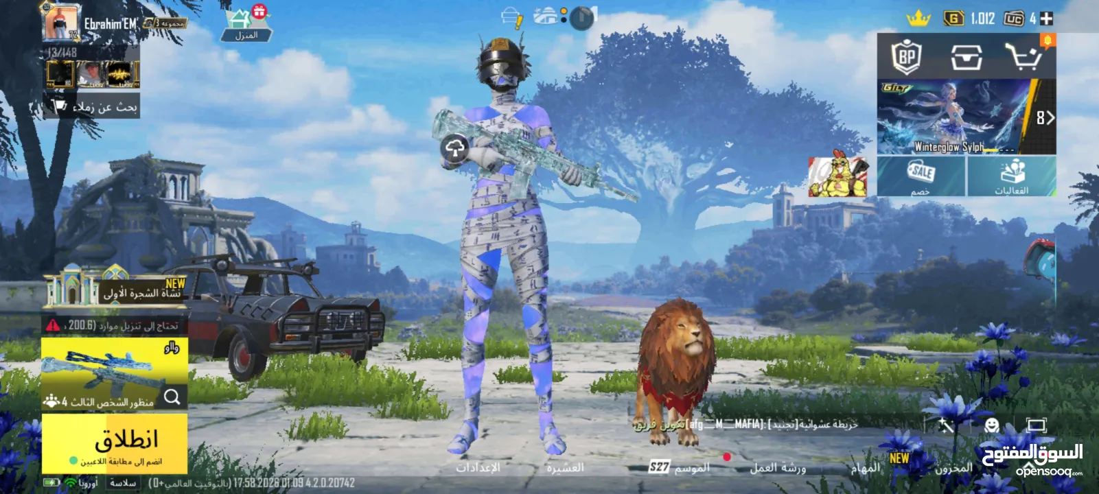 حساب ببجي للبيع