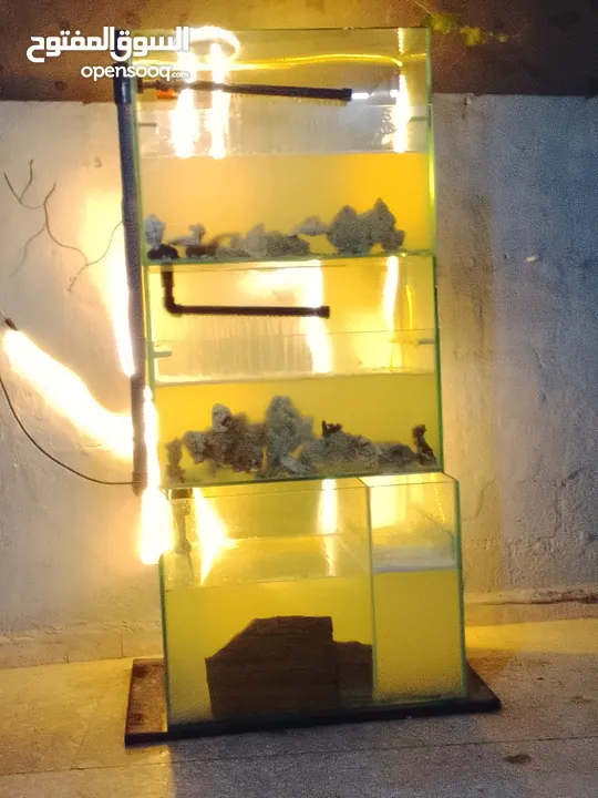 حوض سمك مع كامل معدادو