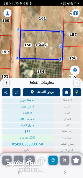 أرض مميزة للبيع في جرش من المالك مباشرة