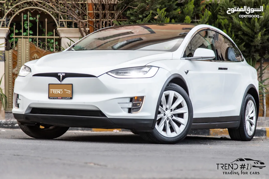Tesla Model X 100D  2018