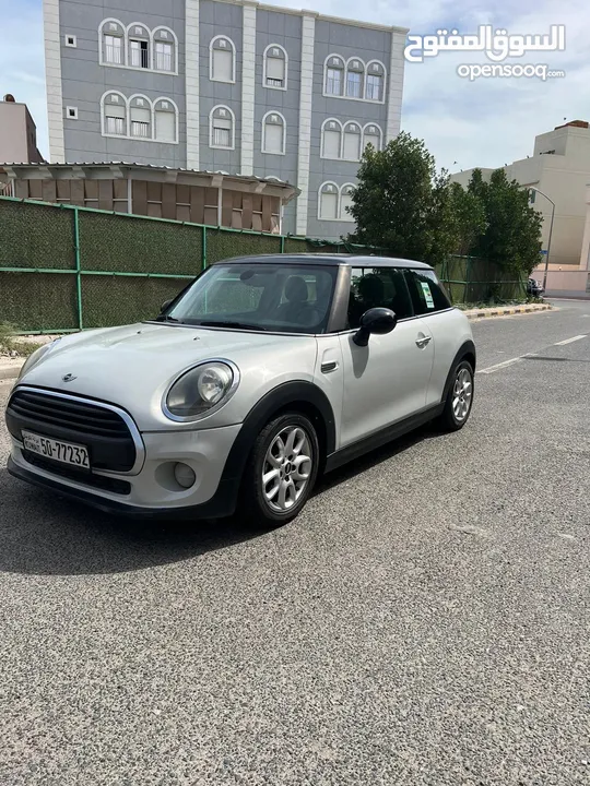 MINI- 2019