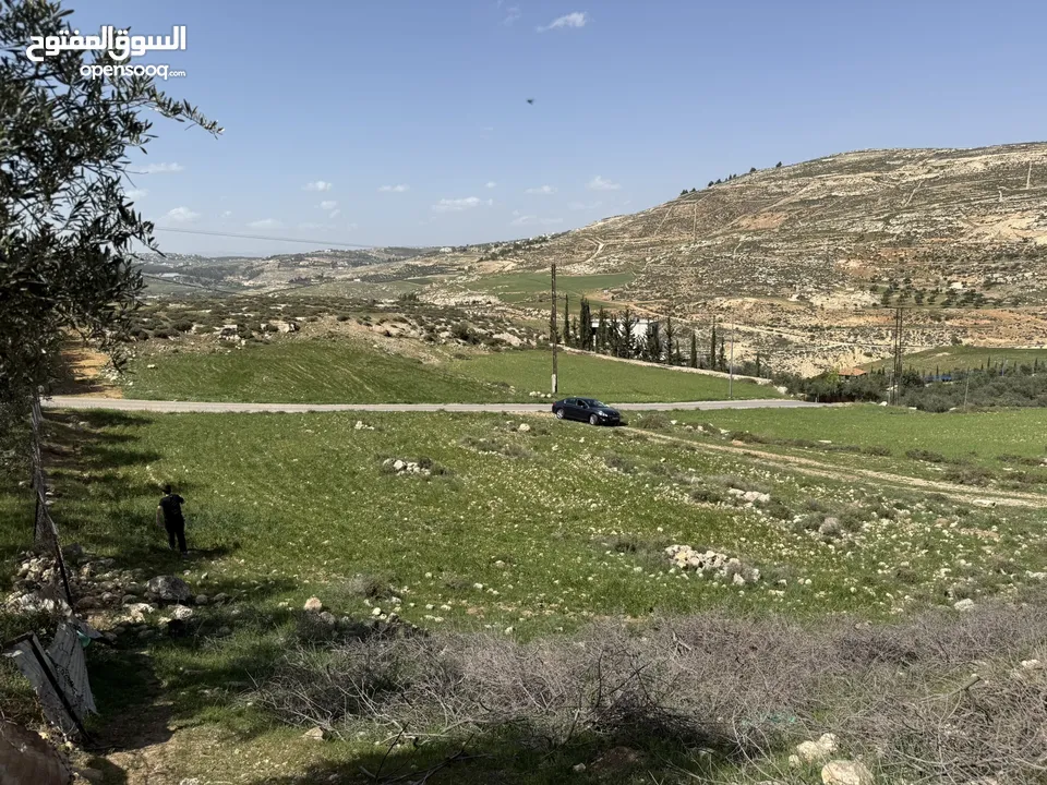 ارض للبيع قرمية حسبان 3100 متر لكامل القطعة قابل للأقساط