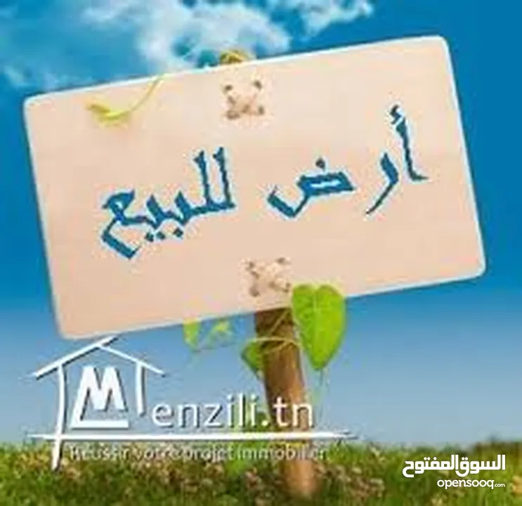 ارض للبيع بخلة الدار طابو