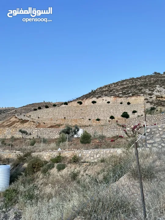 مزرعة في مغاريب السلط من المالك مباشرة