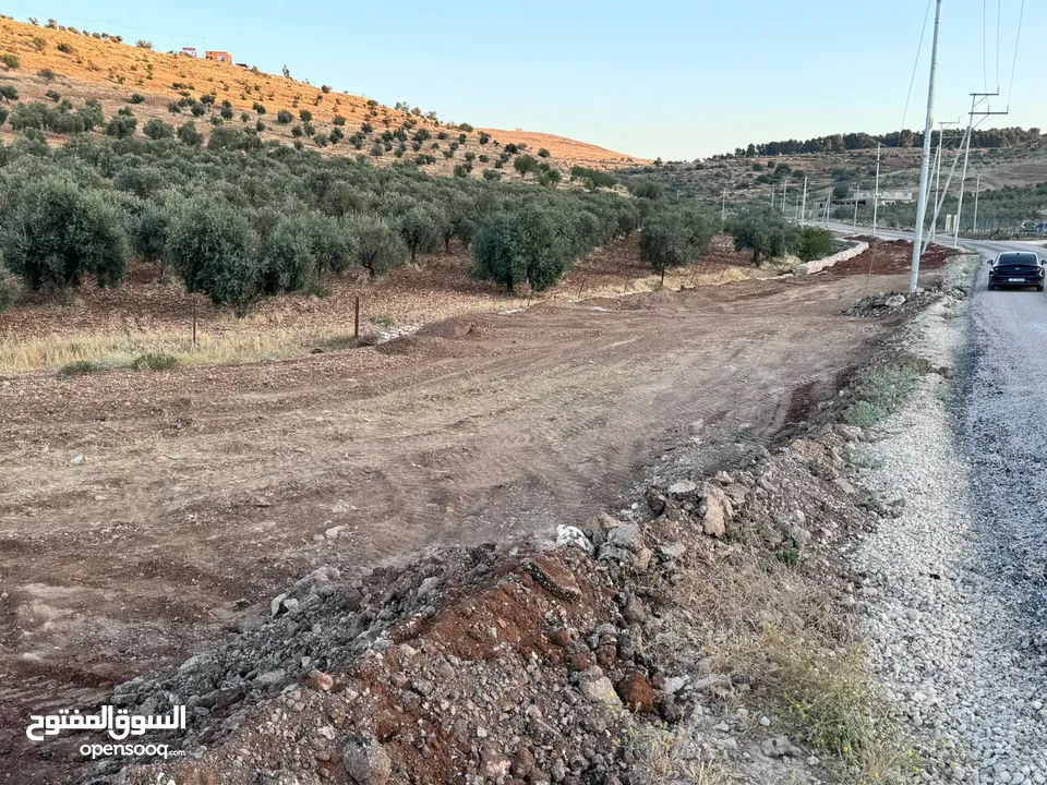 ارض للبيع مساحه 6 دونم و 400 متر النعيمه مستصلحه واصل كهرباء على شارع معبد 10 متر وقريبه من الخدمات