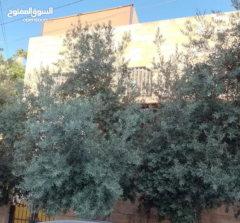 بيت مستقل طابقين أول طلوع عدن