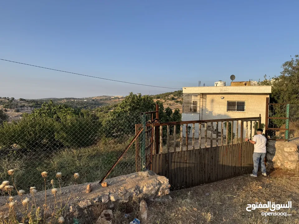 مزرعه للبيع / عجلون / رأس منيف