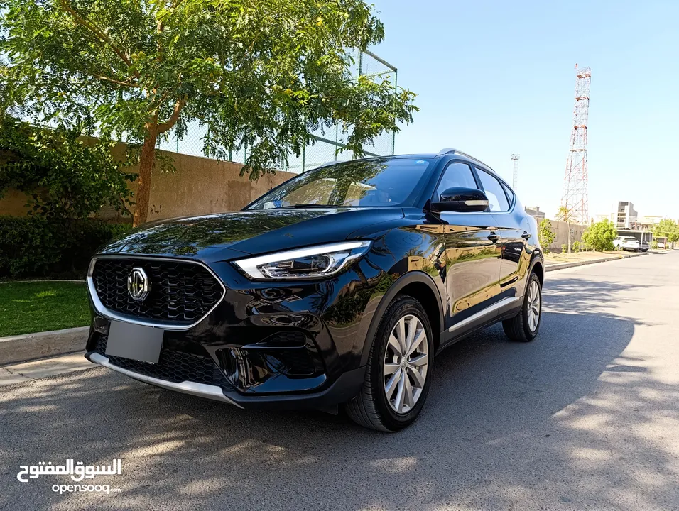 السعى 20 مليون Mg zs 2023