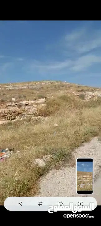 ارض للبيع 10 دونمات واجه 100 متر على شارع 20 معبد تبعد عن اشاره بلعما 1500 متر