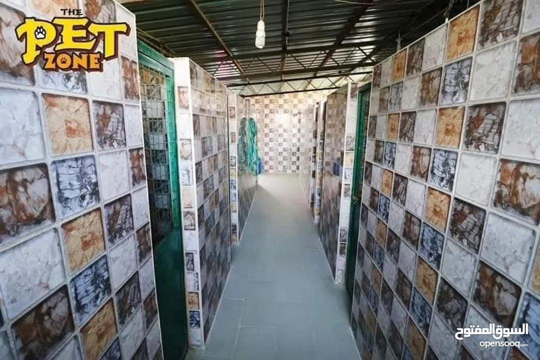 Dog hotel ...