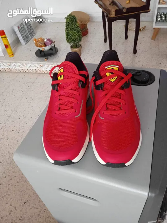 Adidas team bounce +nike react +puma ferrari neuf