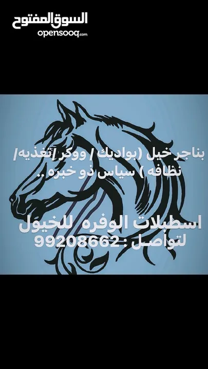 مربط الخيل