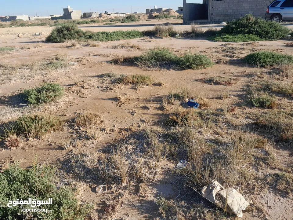 قطعة أرض فاضيه في الترية قبل شيل بنزينة  موقعها ثاني قطعة قبل شط البحر