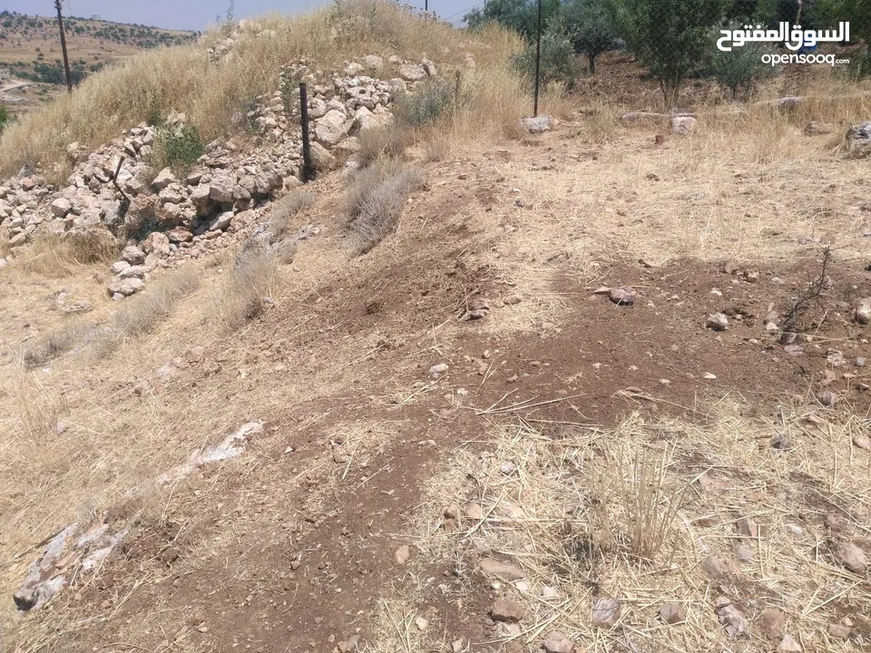 ارض للبيع في عجلون (صخرة)