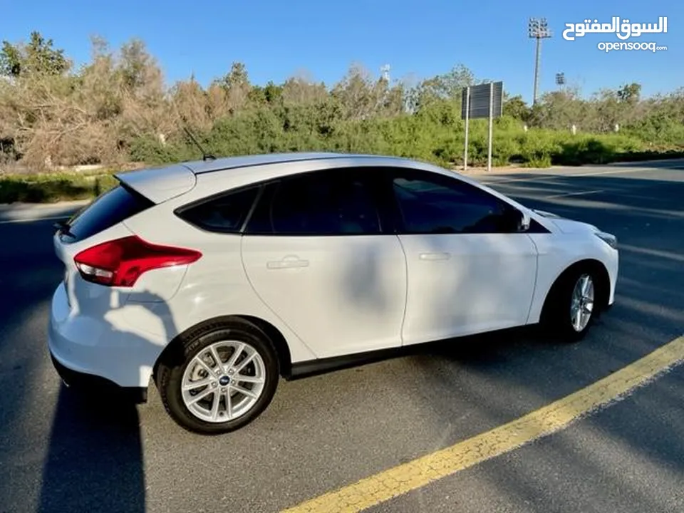 Agency Maintained Ford Focus with service package