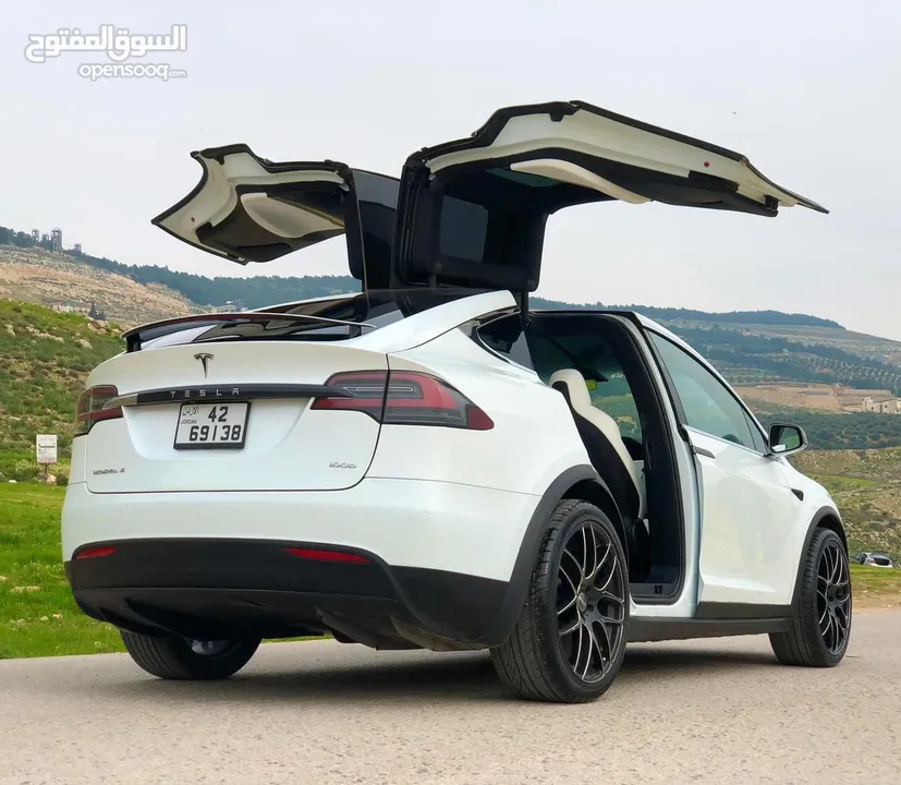 Tesla model X 100D 2018