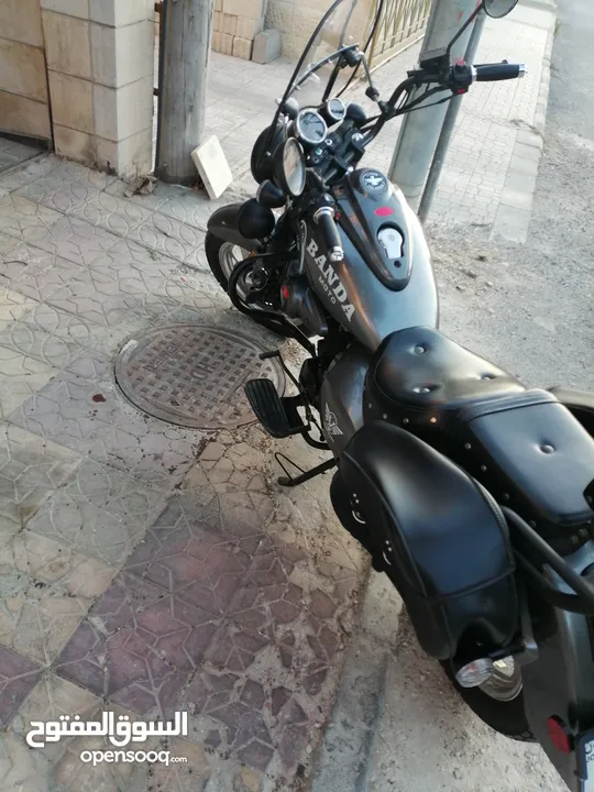 دراجة باندا للبيع