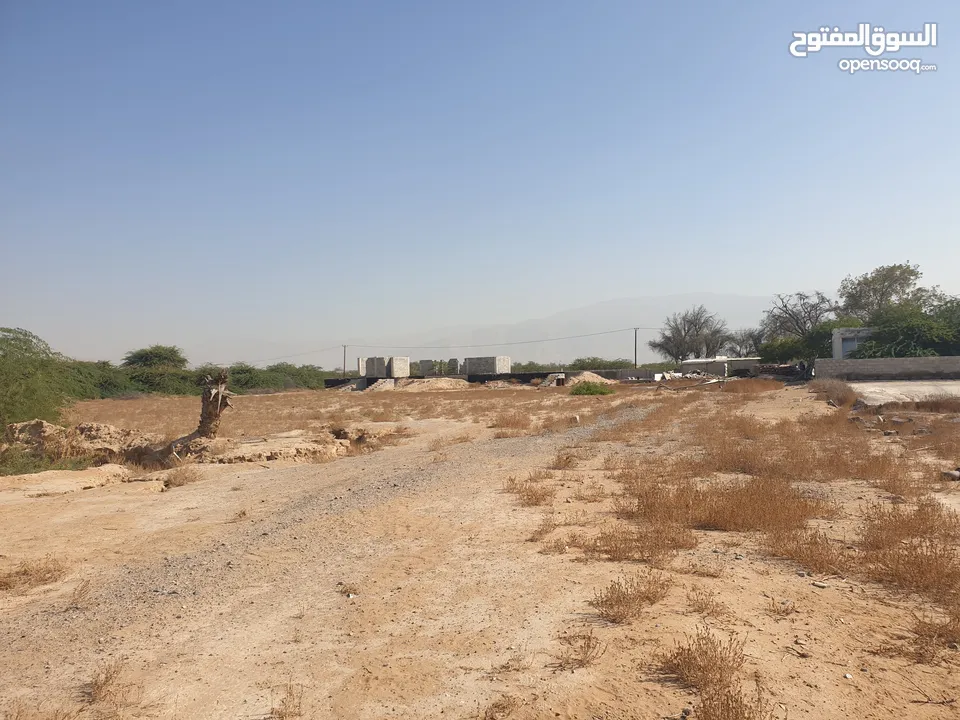 مزرعة للبيع بموقع مميز قريب للخدمات والسعر مناسب