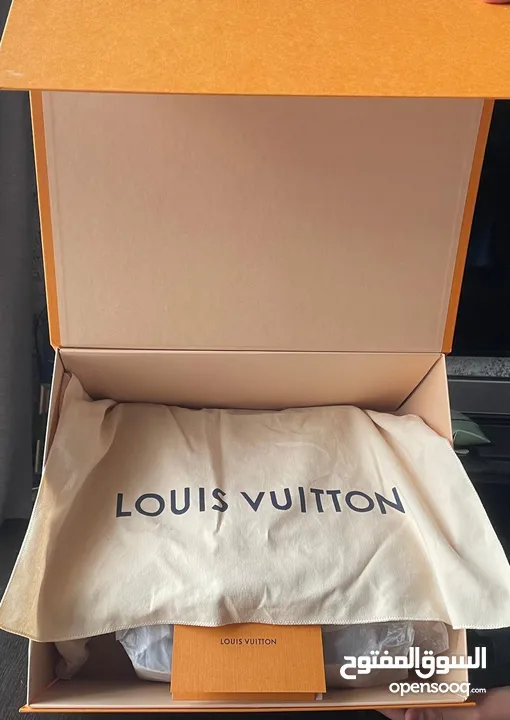 Brand New Unused Louis Vuitton Original Handbag with LV Box