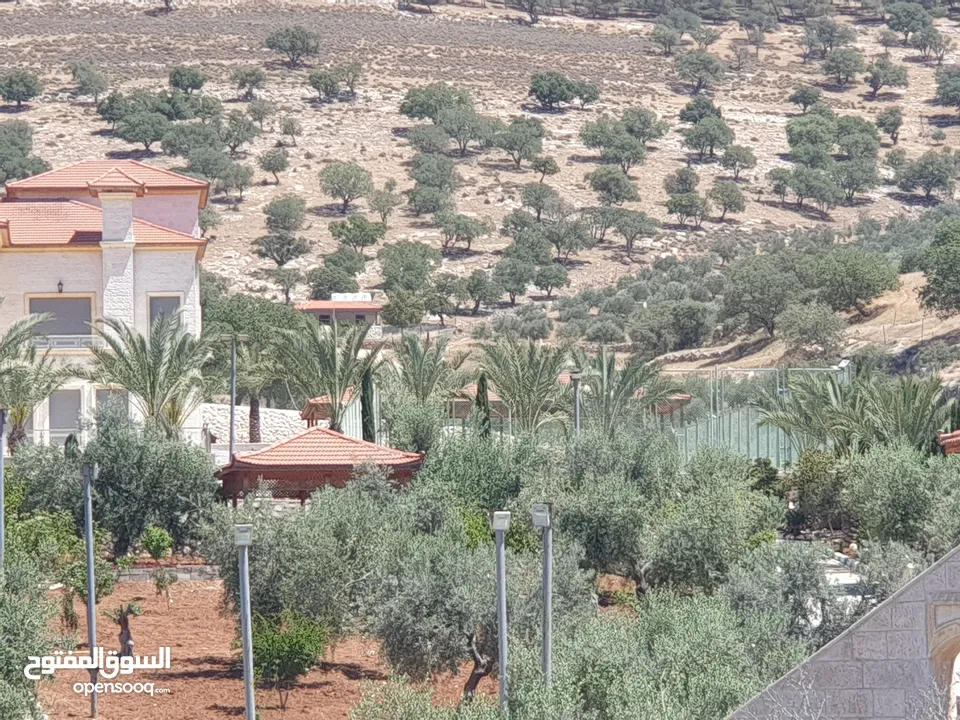 ارض زراعية على شارعين في صروت الصوان قرب الفلل و منتزه الامير هاشم قرب بيرين و شفا بدران بسعر مغري