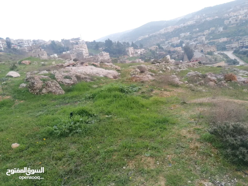 فرز جديد أجمل ارض في عجلون مرتفعه على جبل ومطله على جبال عجلون لغايات السكن / فلل / اسكانات