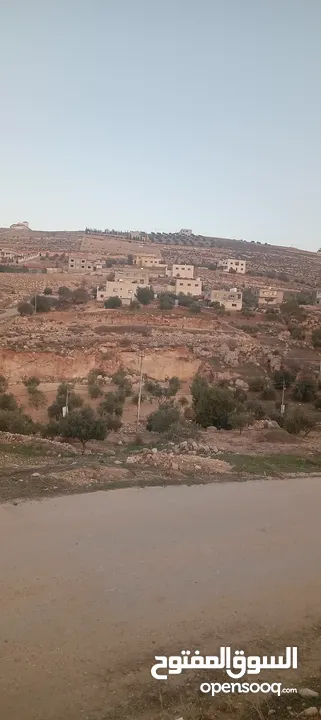 ارض 201متر بالكمشه للبيع