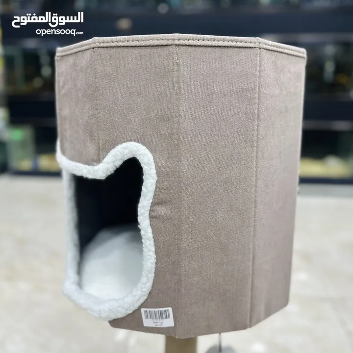 بيوت مع خداشات للقطط