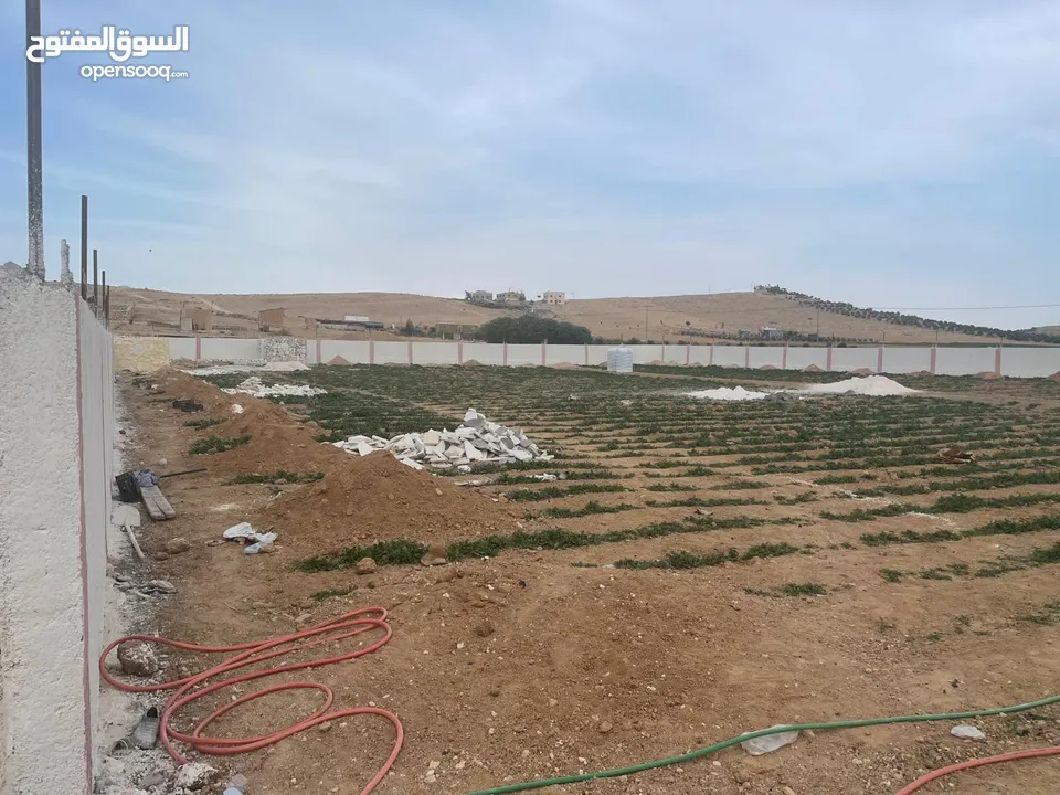 ارض زراعية في بلعما للبيع مساحتها 3500 متر