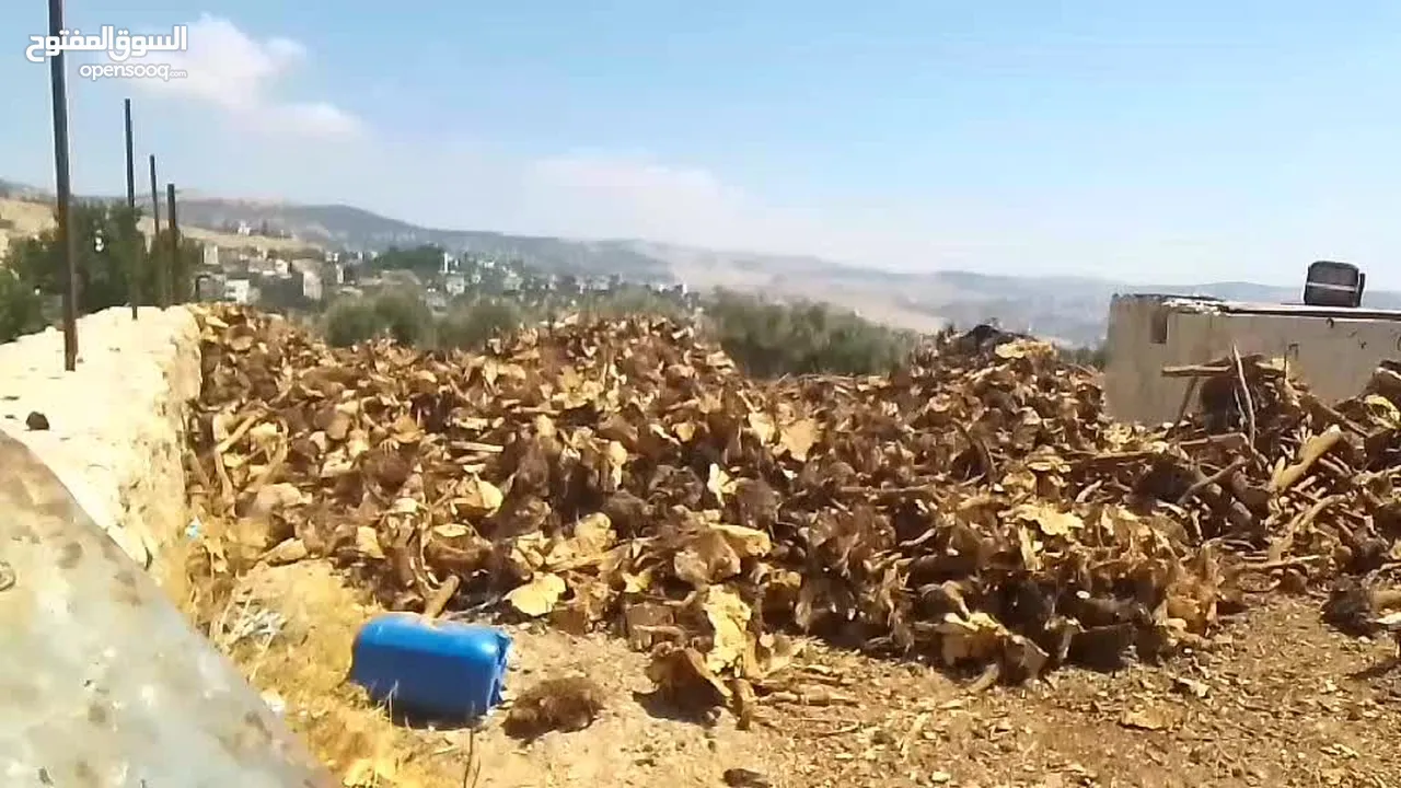 حطب زيتون يابس لمطاعم الزرب