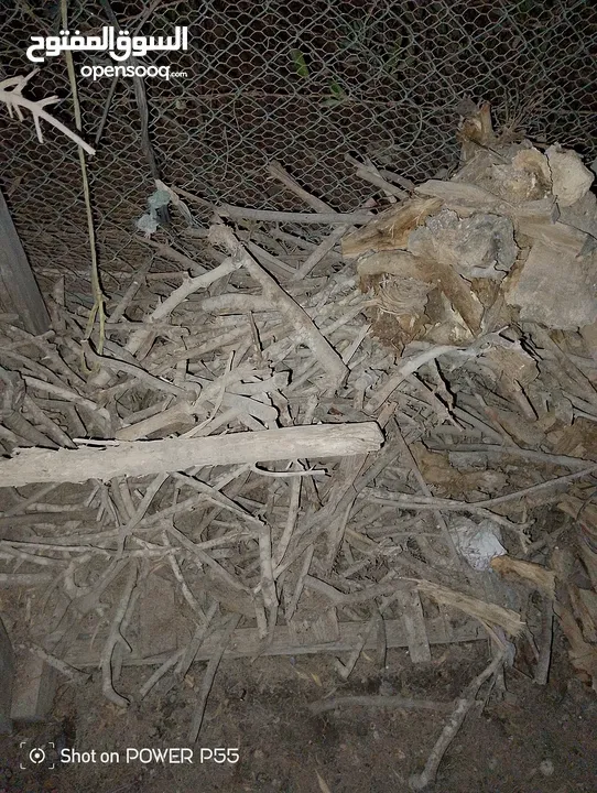 تشكيلة حطب للبيع