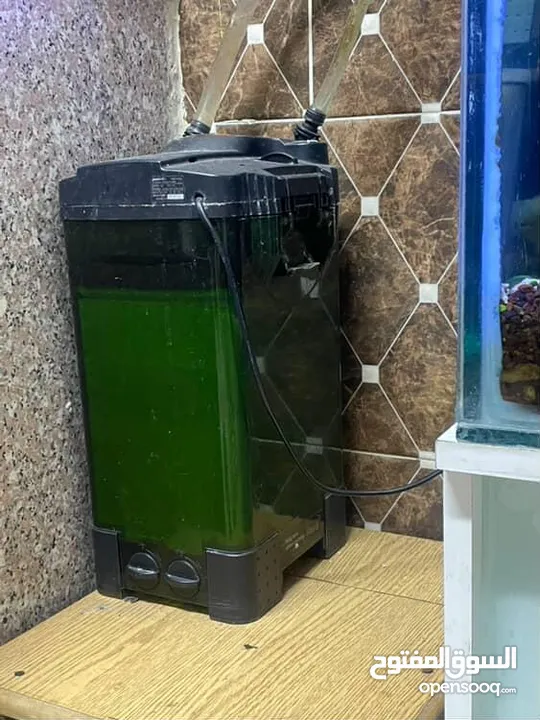 حوض سمك للبيع