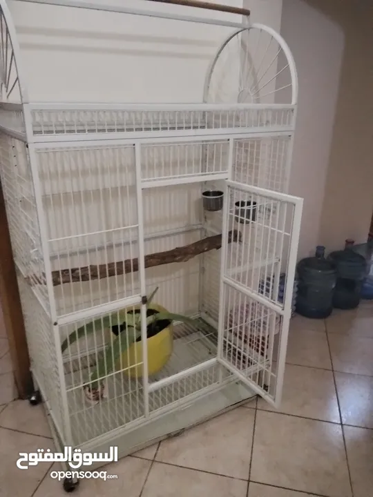 big cage for parrot for sale