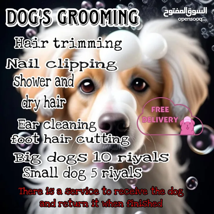 Pet's grooming / boarding