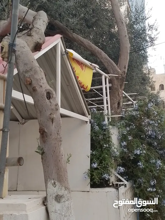موقع في ام اذينه  يصلح لانشاء مطعم او مني ماركت او صالون سيدات