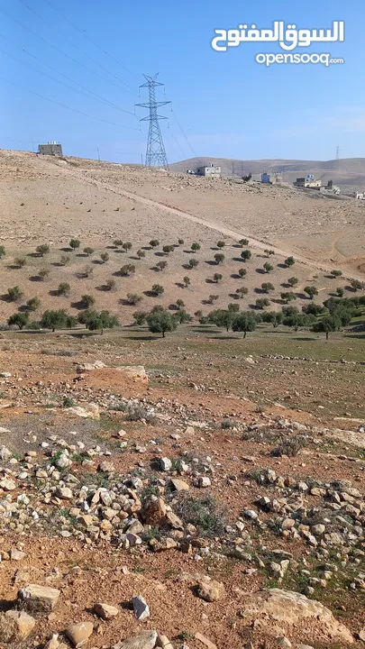 للبيع قطعة ارض في مرحب قرب طريق بيرين حوض حوشان