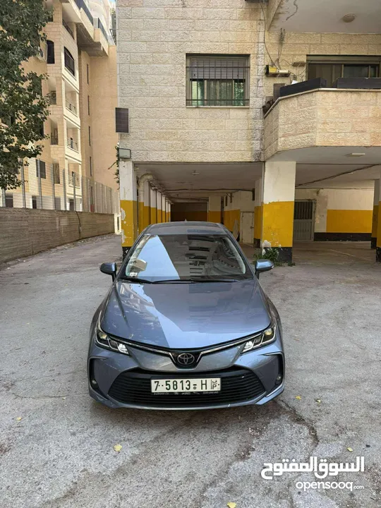 تويوتا كورولا 2019