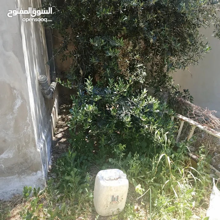 بيت طابقين  في ناطفه اقراء الوصف لتفاصيل اكثر كلشي مكتوب بالوصف