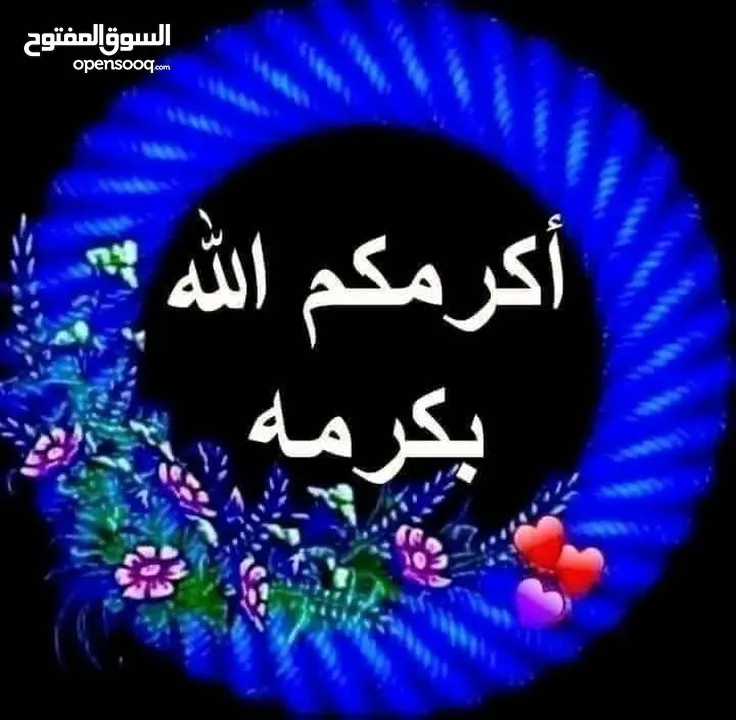 فحول حب هوجو رومو للبيع او البدل على دجاج