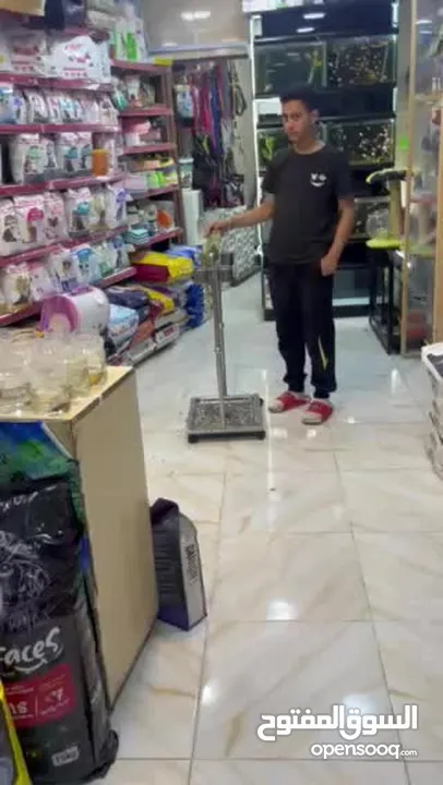 كساندرا متميز متكلم بوضوح مواجهة يُرجى متابعة الوصف