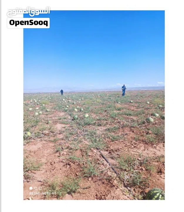 نِيغده – بور (Niğde – Bor) من أجمل وأخصب المناطق الزراعية في تركيا للبيع 10 ألف دونم ارض زراعية