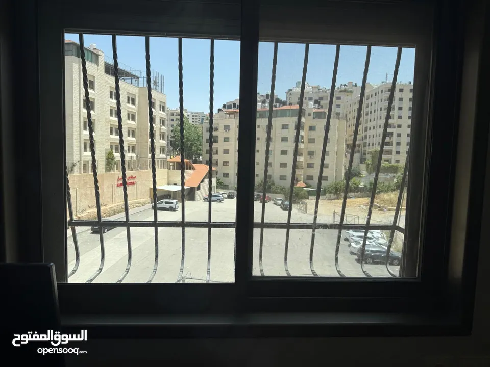 الوسيط ضياء
