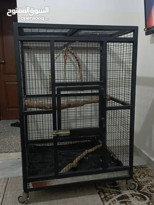 قفص  ببغاء  كاسكو أو مكاوي تفصيل متحرك بعجال  حجم كبير وثقيل وشي مرتب