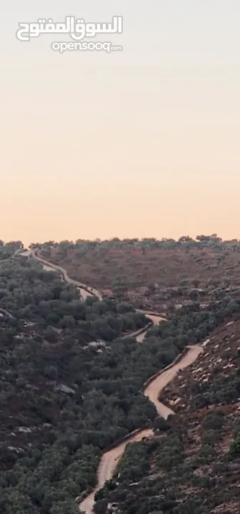 ارض للبيع بسعر مغري في ياصيد