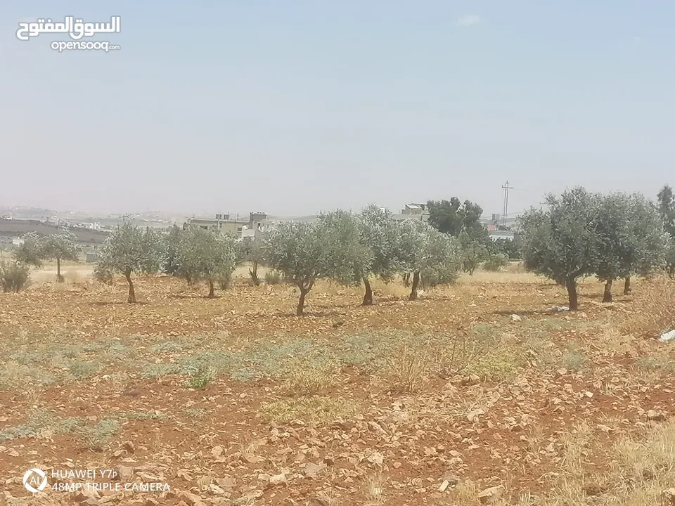 3400م للبيع واصل خدمات منطقه رحاب بني حسن بالقرب من طريق اربد الزرقاء الرئيسي من المالك مباشره