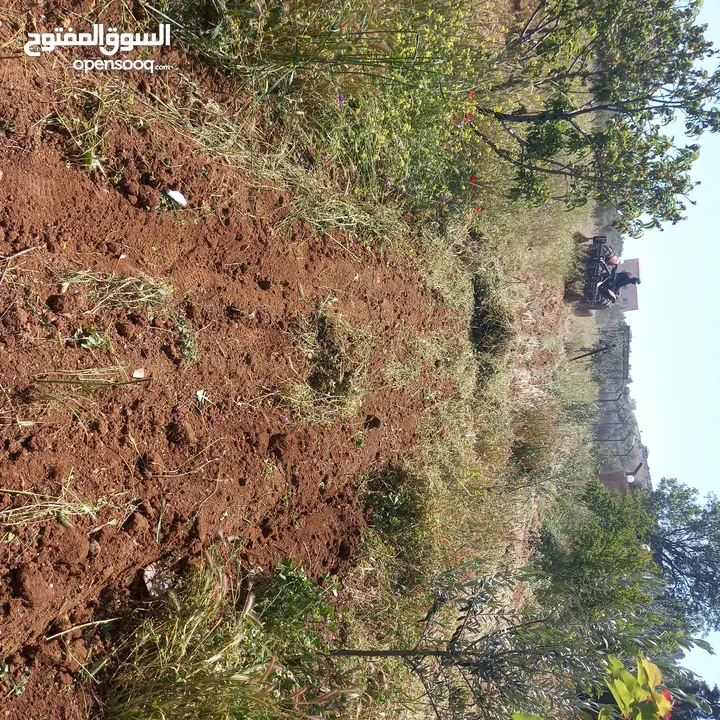 مزرعة وفلة للبيع بموقع ممتاز