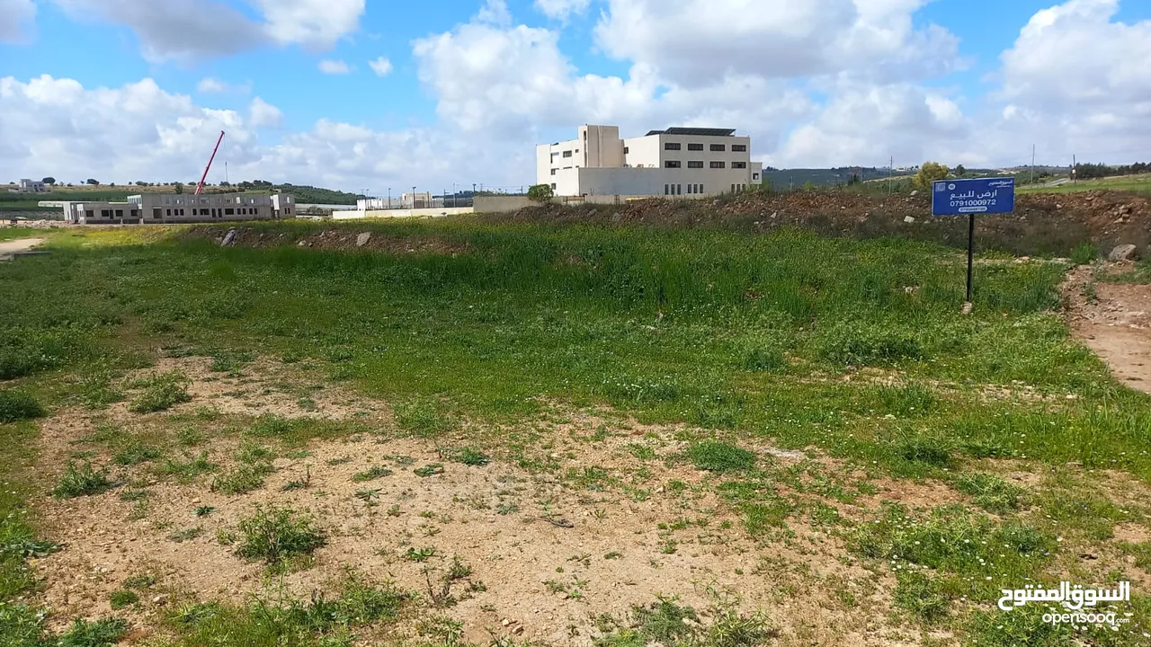 Land For Sale In Alyadodeh ( Property 42386 )-174714076